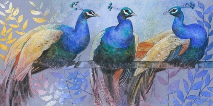 Picture of THREE PEACOCKS