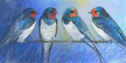 Picture of SWALLOWS