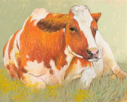 Picture of COW IN THE SPRING