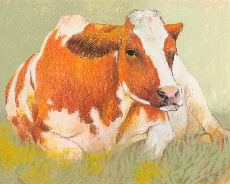 Picture of COW IN THE SPRING