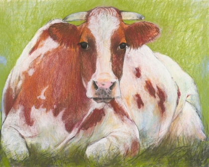 Picture of COW