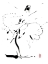 Picture of COMME UNE FLEUR-LEGERE