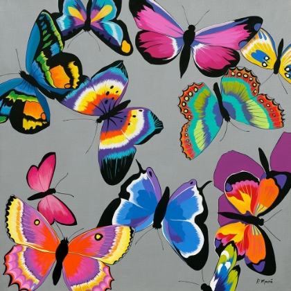 Picture of PAPILLONS