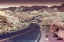 Picture of SNAKE ROAD