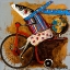 Picture of PASEANDO EL MUNDO