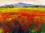 Picture of AMAPOLAS III
