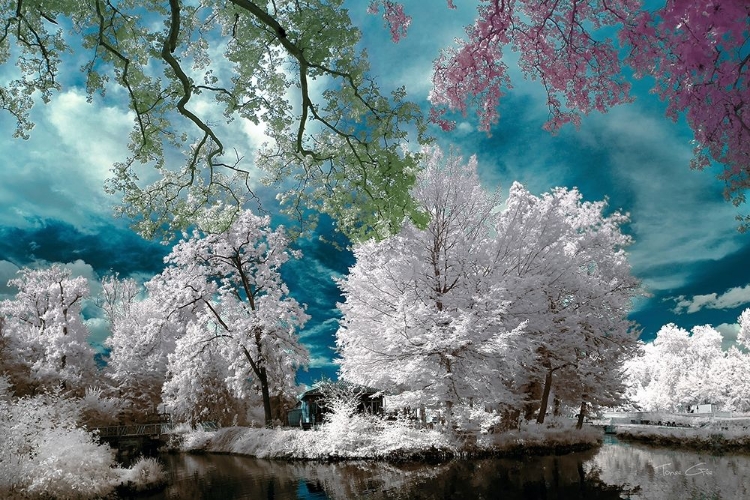 Picture of CAYAC,GRADIGNAN - INFRARED PHOTOGRAPHY 