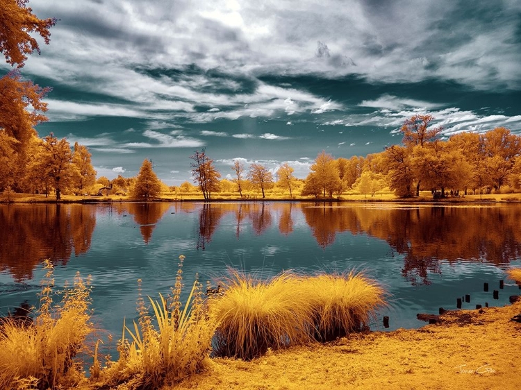 Picture of MAJOLAN S PARK REFLECTIONS II-BORDEAUX - INFRARED AND UV PHOTOGRAPHY 