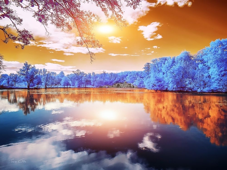 Picture of DOUBLE REFLECTIONS-MAJOLAN S PARK-BORDEAUX - INFRARED PHOTOGRAPHY 