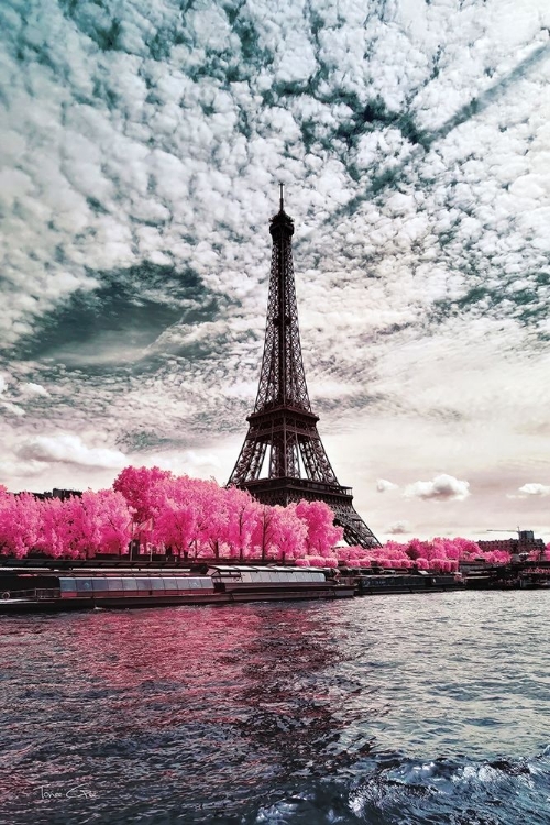 Picture of IR ON LADY-PARIS - INFRARED PHOTOGRAPHY 