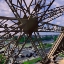 Picture of ETOILE