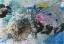 Picture of FROSCH