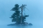 Picture of INSEL IM KLOCKESJOEN