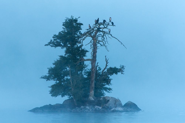 Picture of INSEL IM KLOCKESJOEN