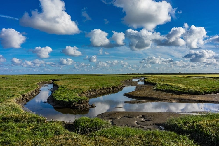 Picture of WATER AND EARTH