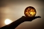 Picture of SOLEIL EN VERRE