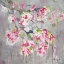 Picture of CHERRY BLOSSOM II