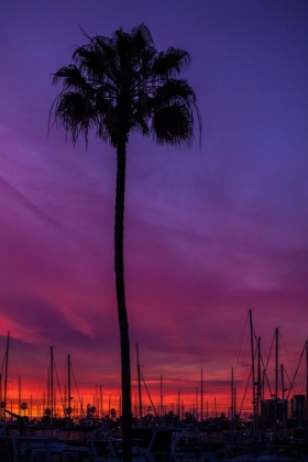 Picture of SUNSET SAILING