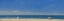 Picture of MOTHERS WITH CHILDREN AT THE BEACH