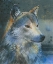 Picture of GRAUER WOLF