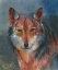 Picture of ROTER WOLF