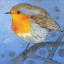 Picture of ROTKEHLCHEN