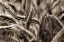Picture of SOMMERTRAUM I
