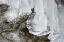 Picture of ICE