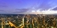 Picture of FRANKFURT PANORAMA BELEUCHTET PANORAMADETAIL
