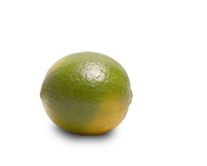 Picture of LIMETTE