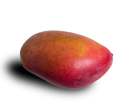 Picture of MANGO
