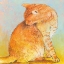 Picture of CAT II