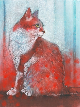 Picture of RED CAT
