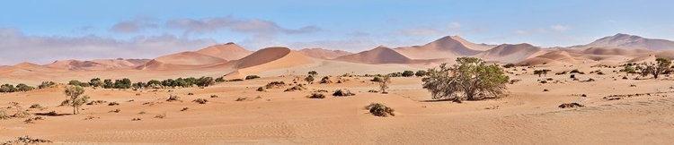 Picture of SOSSUSVLEI DESERT NAMIB