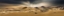 Picture of NAMIB SANDSEA II