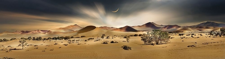 Picture of NAMIB SANDSEA II