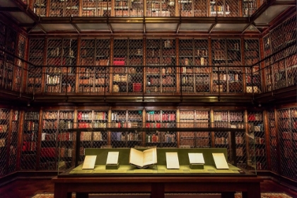 Picture of LIBRARY ROOM