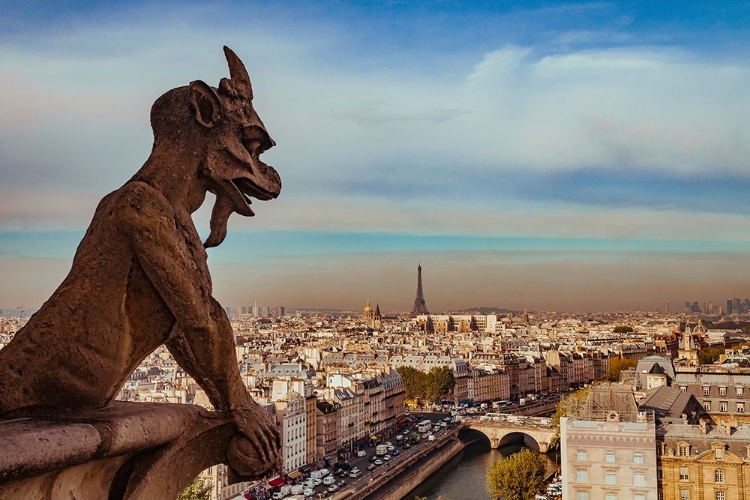 Picture of VUE SUR PARIS DEPUIS NOTRE DAME