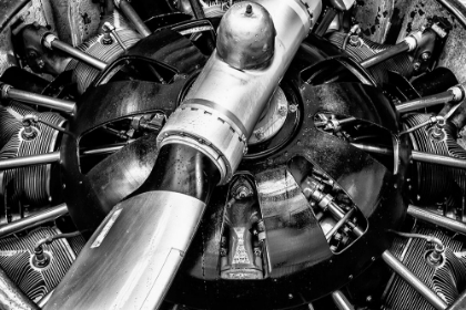 Picture of PROPELLOR ENGINE CLOSE UP 2