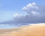Picture of BIRDS ON THE BEACH