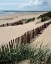 Picture of DRIFTING SANDS