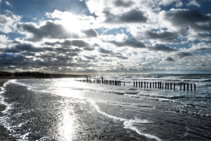 Picture of GLISTENING SHORELINE