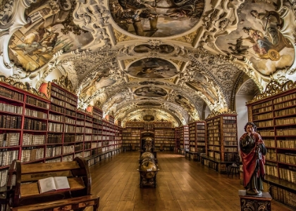 Picture of BEAUTIFUL OLD LIBRARY