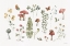 Picture of FOREST TREASURES 01