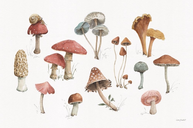 Picture of MUSHROOM MEDLEY 01