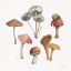 Picture of MUSHROOM MEDLEY 02