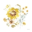 Picture of SUNFLOWERS FOREVER 08