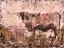 Picture of LONG HORN OCHER TINT