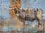 Picture of LONG HORN BLUE