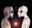 Picture of HYBRID V